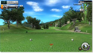 Realistic Golf Course